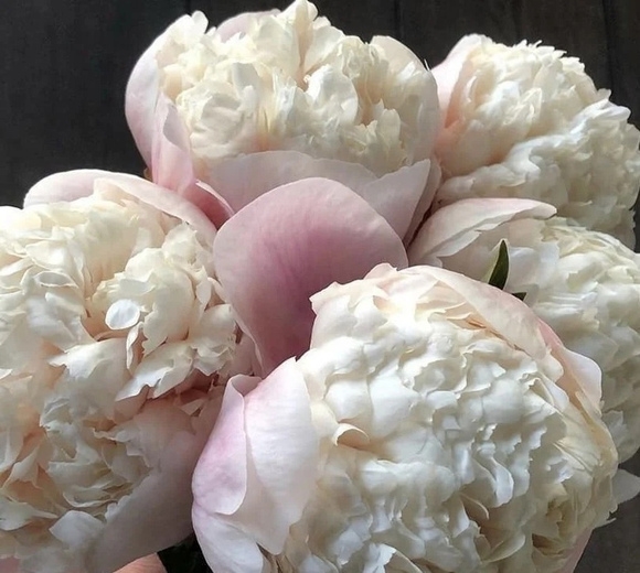 Colonel Owen Cousins