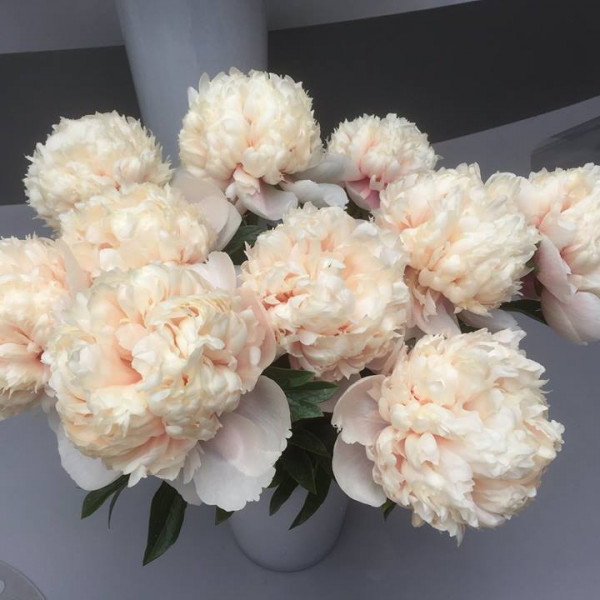 Colonel Owen Cousins